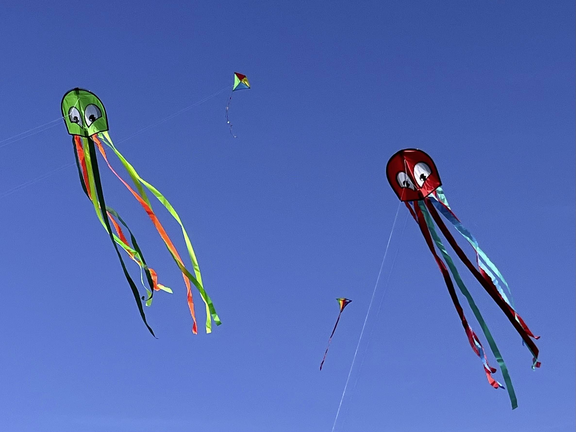 Smoki w kształcie kolorowych kałamarnic z długimi wstążkami unoszą się na błękitnym niebie.