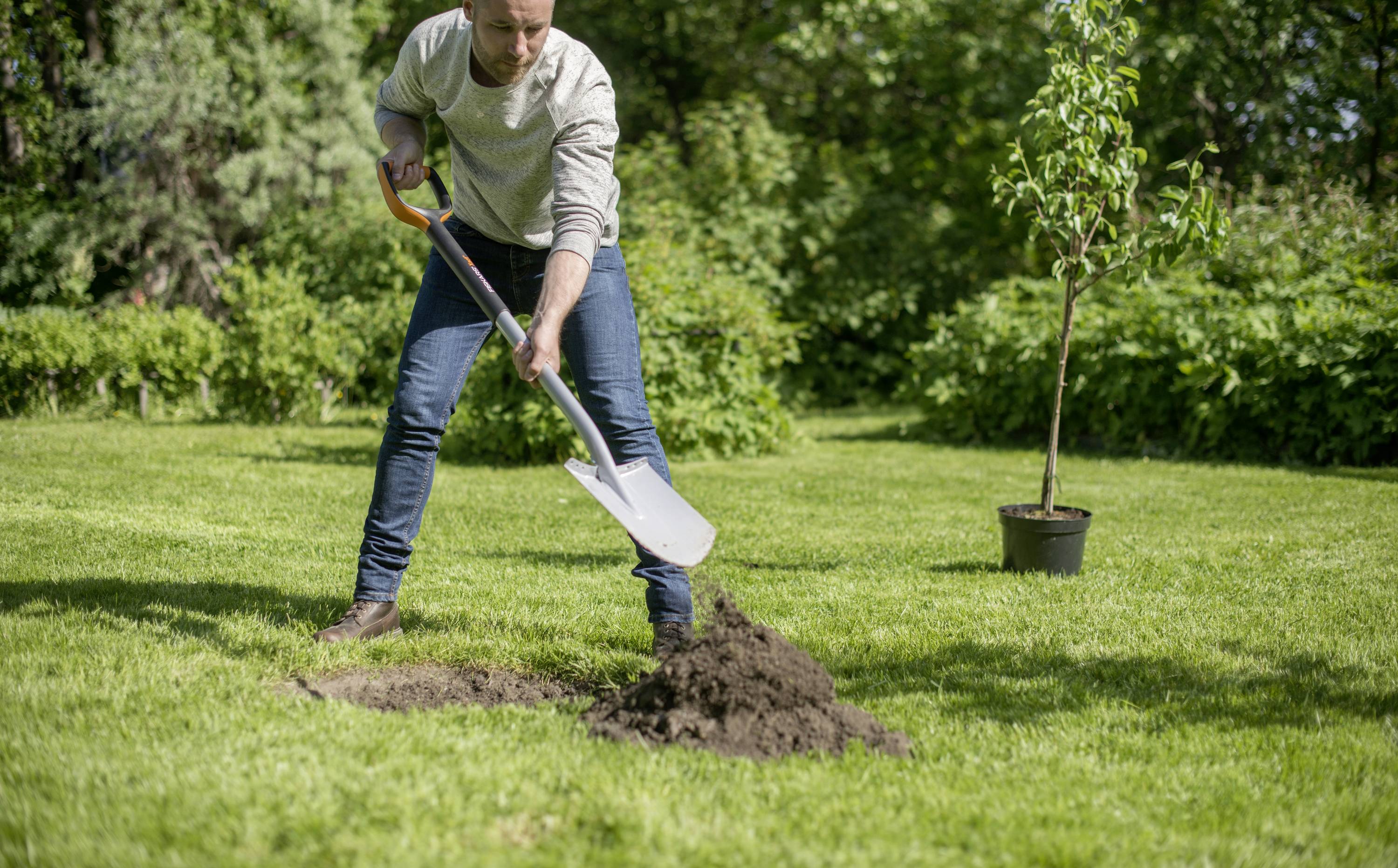 Mężczyzna sadzi drzewo w ogrodzie, trzymając w ręku łopatę, podczas gdy w tle stoi młode drzewko.