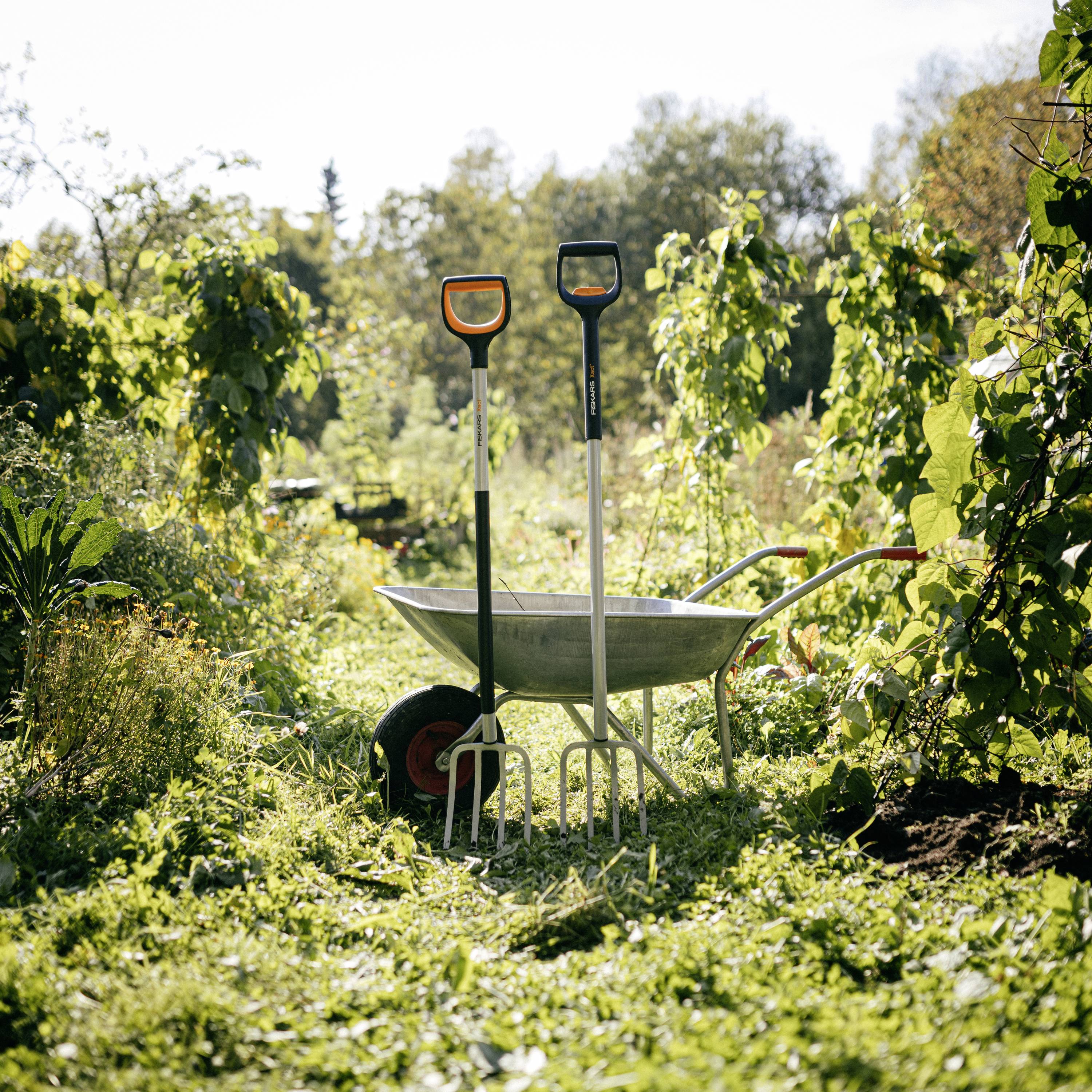Taczka z dwoma narzędziami ogrodowymi w słonecznym ogrodzie. W tle widoczne są zielone rośliny i jasne drzewa.