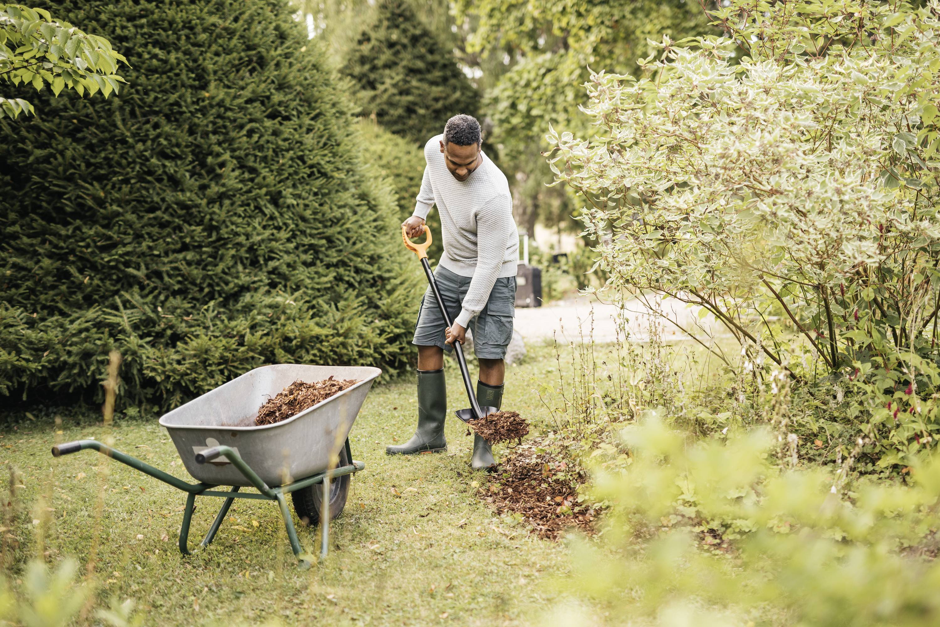 Mężczyzna kopie ziemię taczką w ogrodzie. Ma na sobie gumowce i pracuje z dużą koncentracją, dbając o ogród.