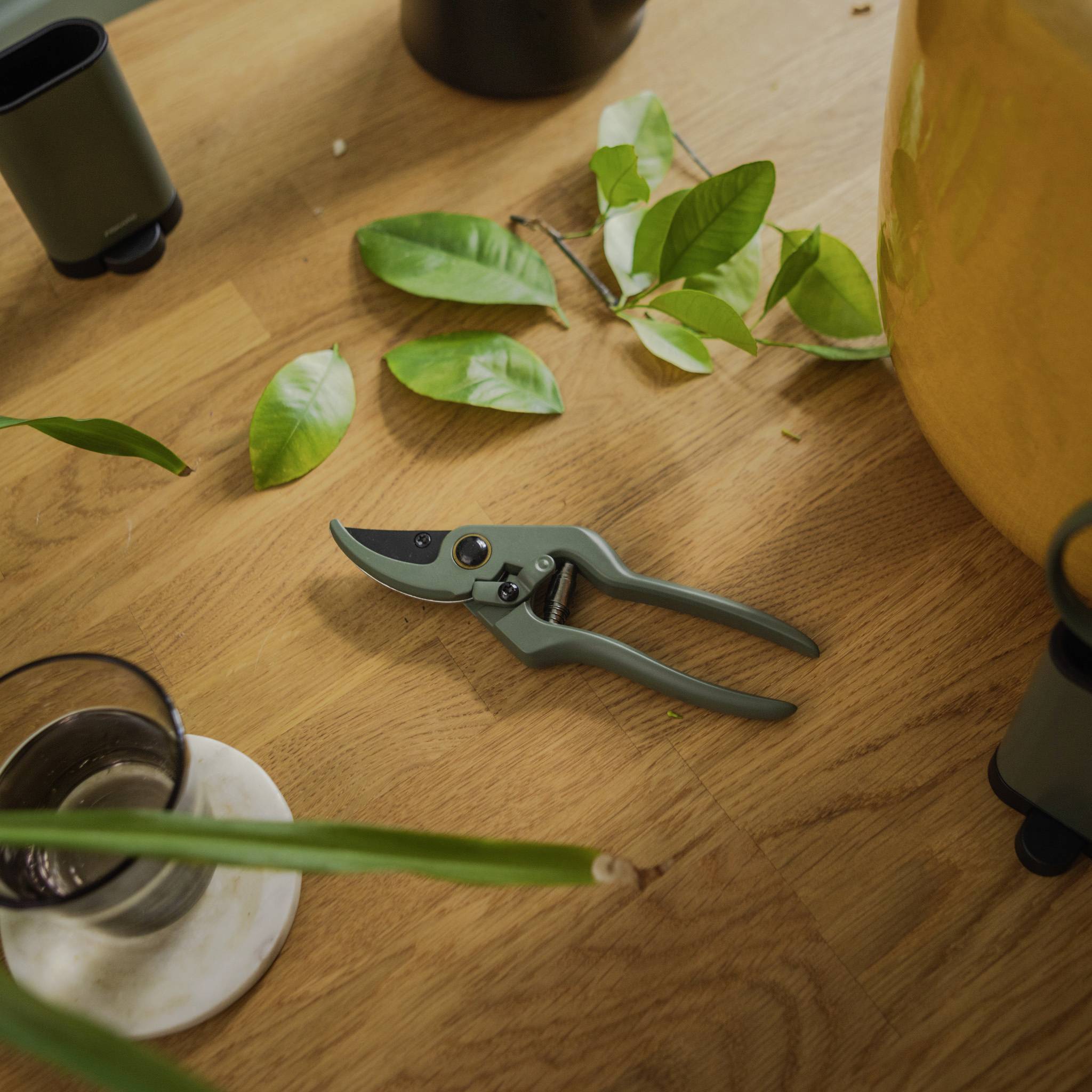 Sekator leży na drewnianym stole, otoczony zielonymi liśćmi i doniczkową rośliną.