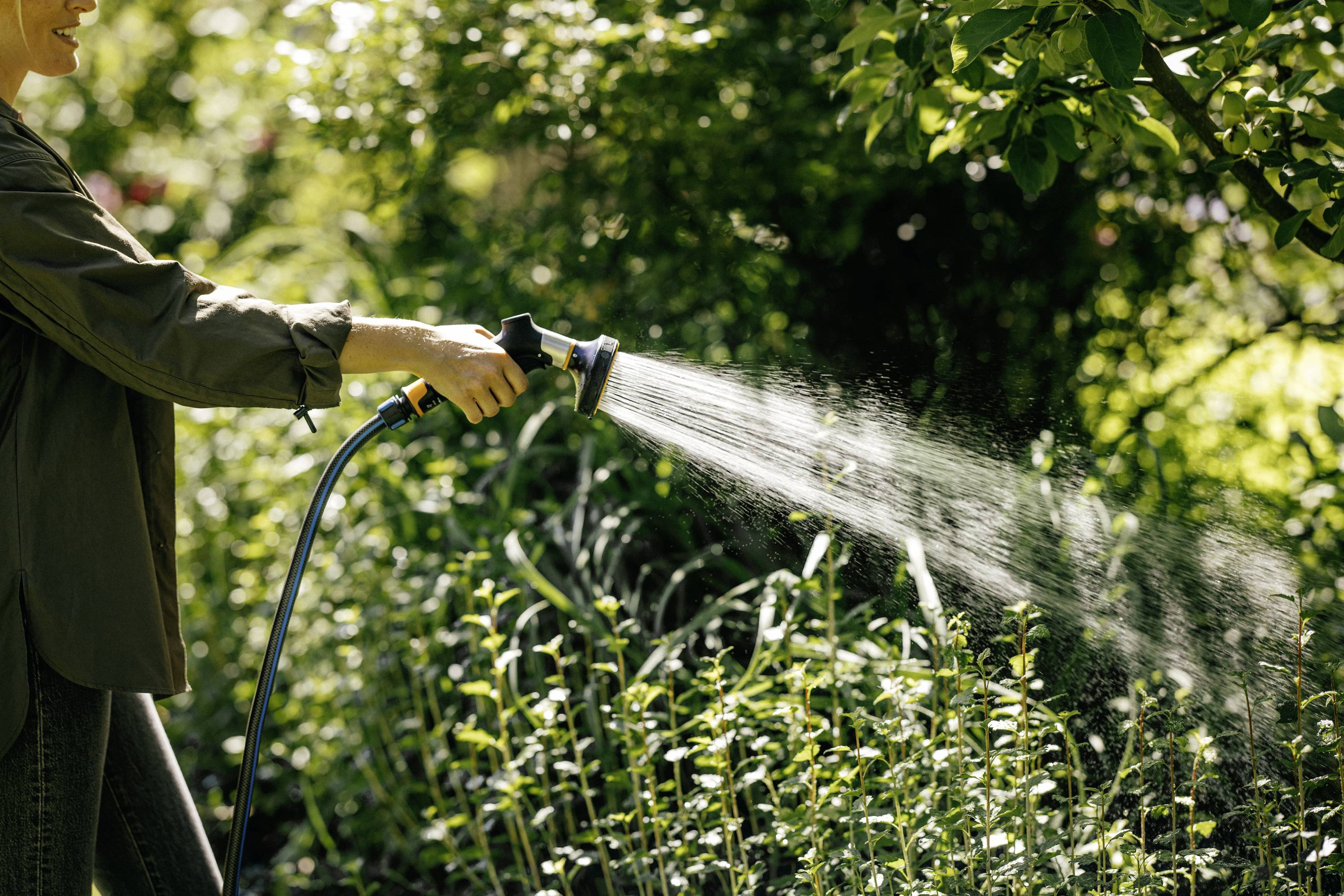 Osoba podlewa rośliny wężem ogrodowym w zielonym ogrodzie. W tle widać zieleń trawy i drzew.