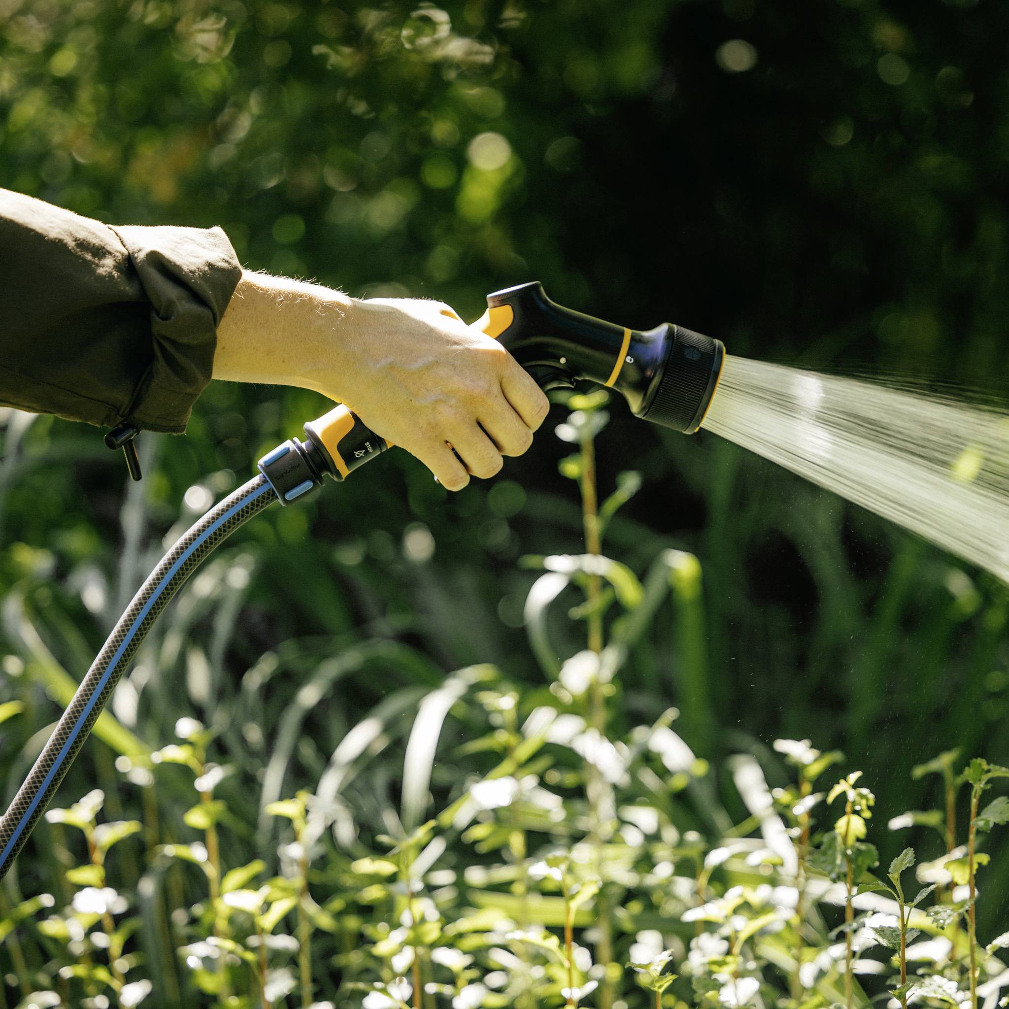 Osoba podlewa rośliny w ogrodzie za pomocą węża ogrodowego. Promienie słoneczne padają na zielone liście w tle.