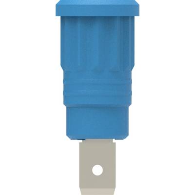 Electro PJP 3286-CD1-BL Złącze żeńskie wciskane bezpieczne 1 szt.-0