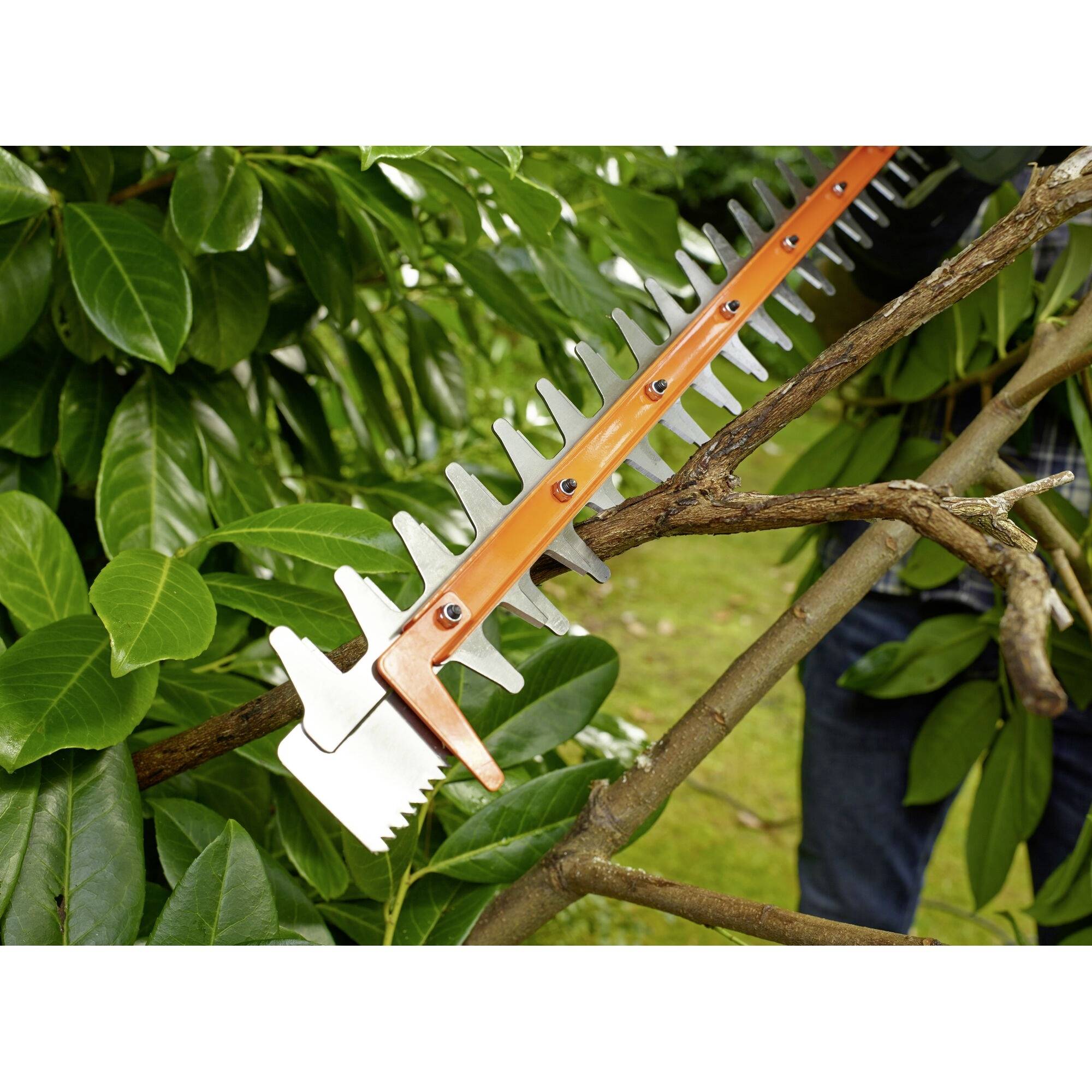 Elektryczna nożyce do żywopłotu przecinają gałąź. W tle widoczne są zielone liście i fragment osoby ubраnej w niebieskie ubranie.