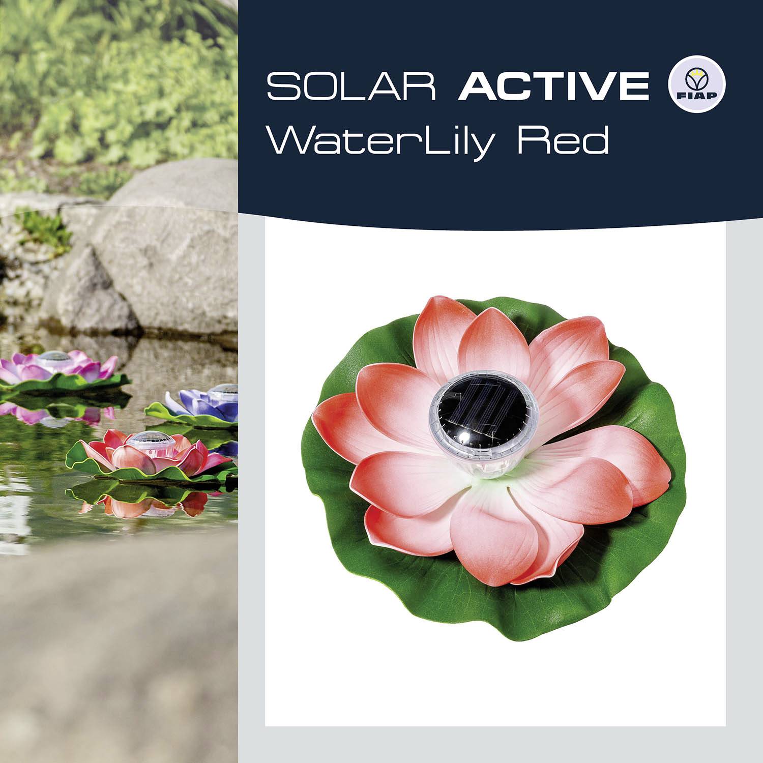 Zdjęcie produktowe 'Solar Active WaterLily Red', przedstawiające czerwoną solarną lilię wodną z zielonym liściem na brzegu stawu.