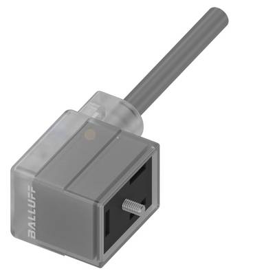Złącze z przezroczystą obudową i czarnym kablem, napis 'BALLUFF' z boku, służy do połączeń elektrotechnicznych.