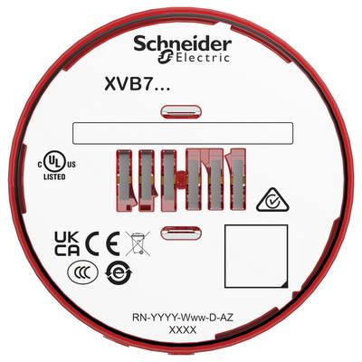 Okrągła etykieta produktu Schneider Electric XVB7 ze znakami zgodności, kodem modelu RN-YYYY-Www-D-AZ i pustym polem kwadratowym.