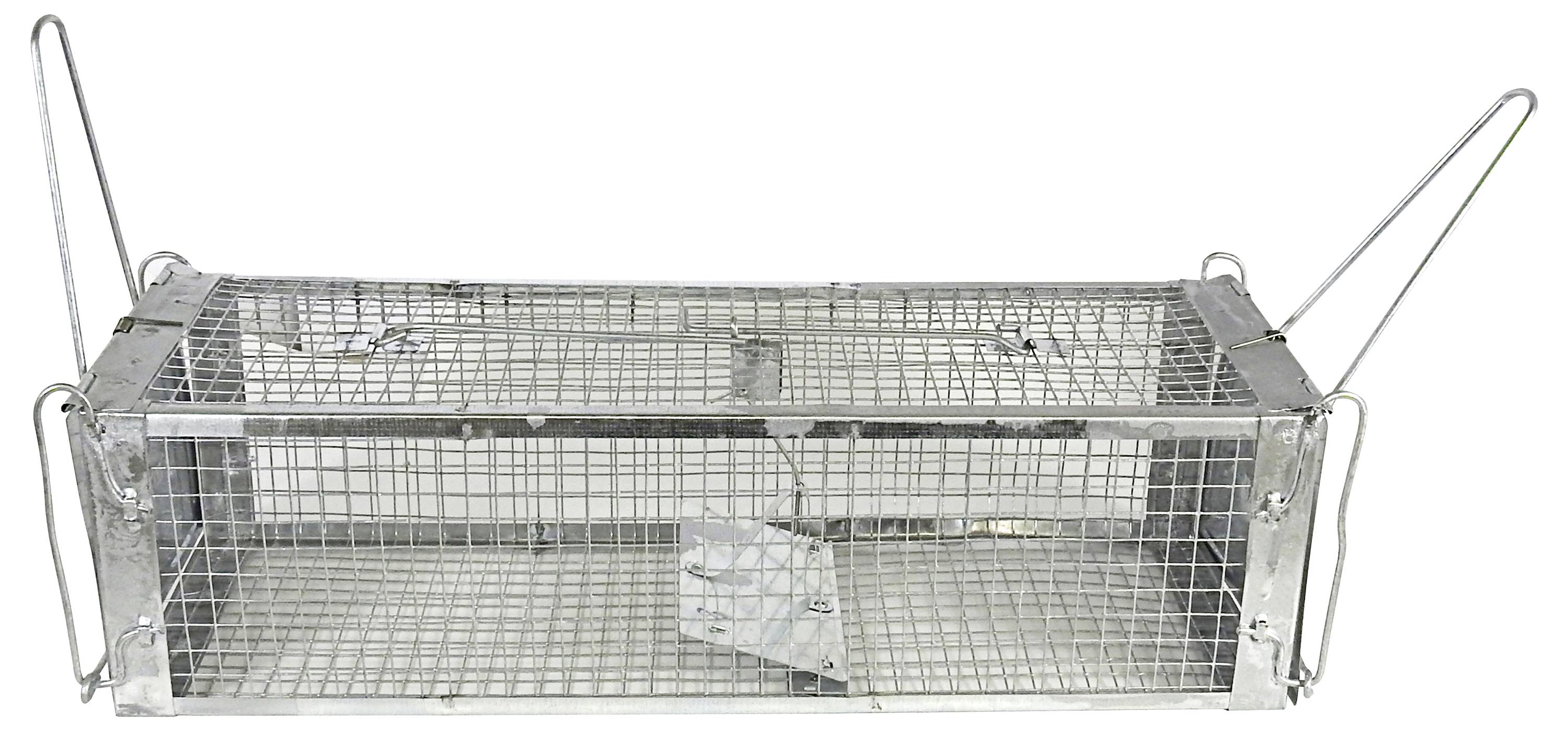 Нешкідлива пастка Swissinno Maus- und Rattenkäfig Pro 1 589 001