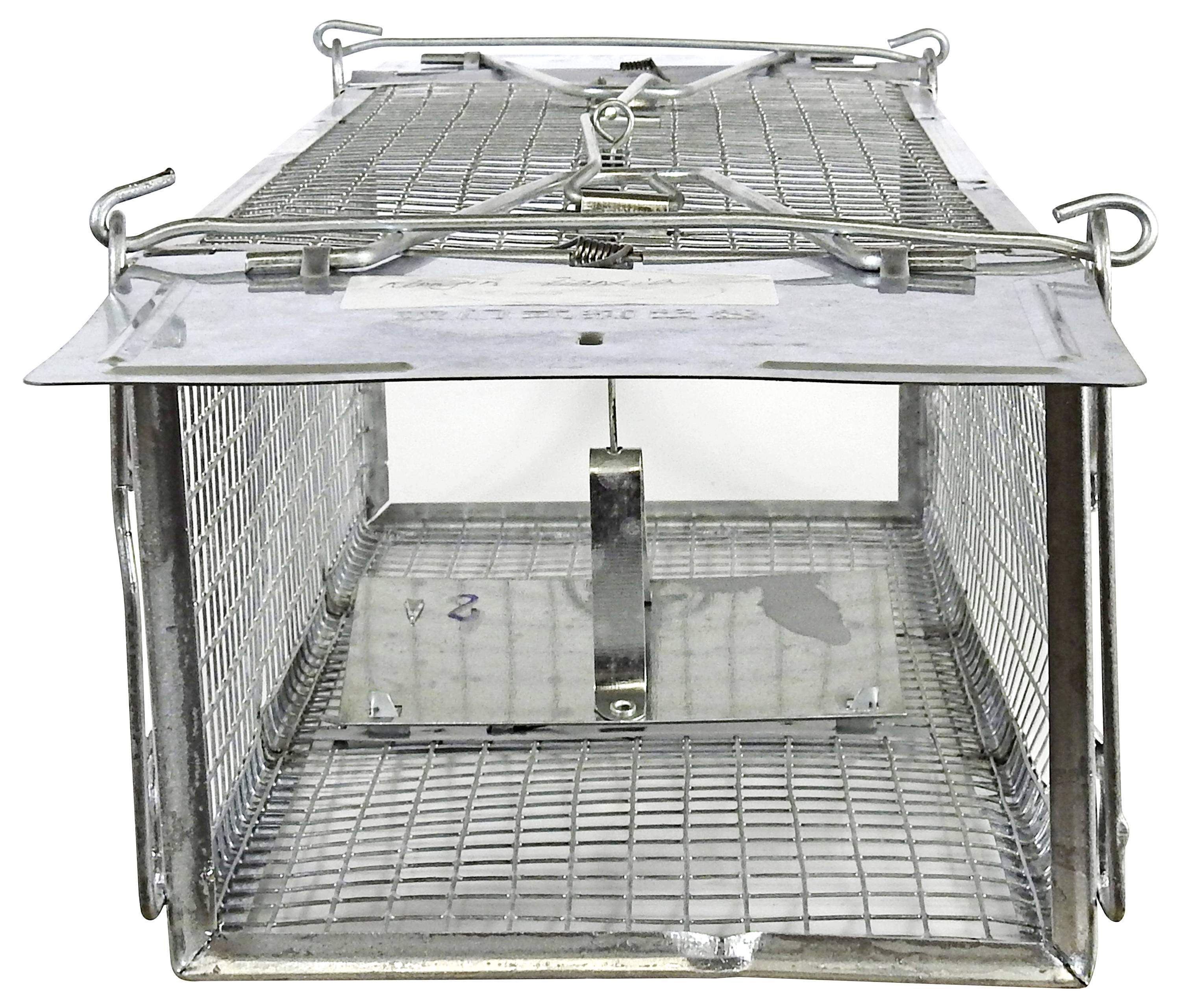 Pułapka nie wyrządzająca krzywdy Swissinno Maus- und Rattenkäfig Pro 1 589 001-3