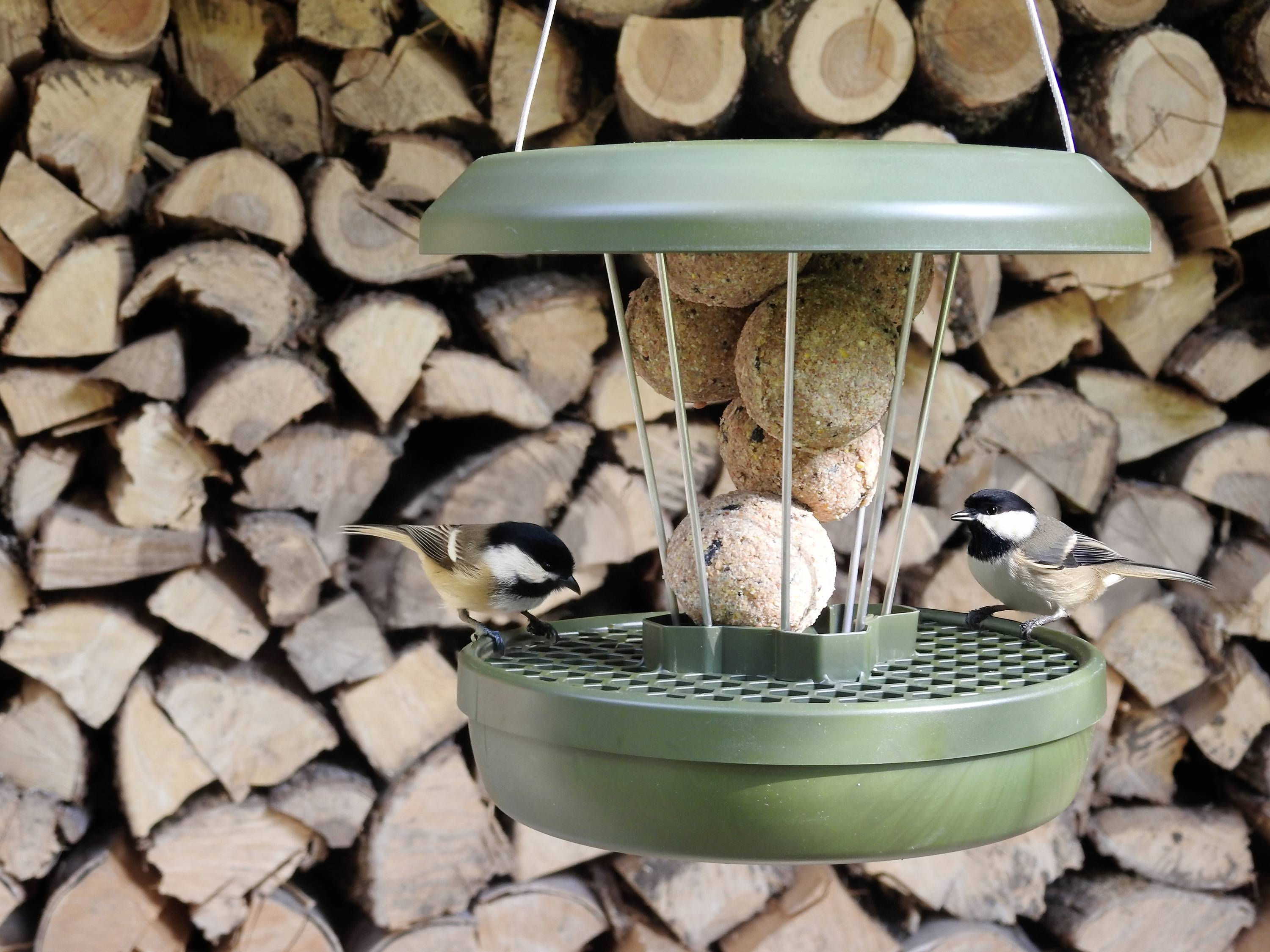 Swissinno Silos na paszę Lucerne Dunkelgrün für Maisenknödel 700 g ciemnozielony 1 szt. 1 801 001-5