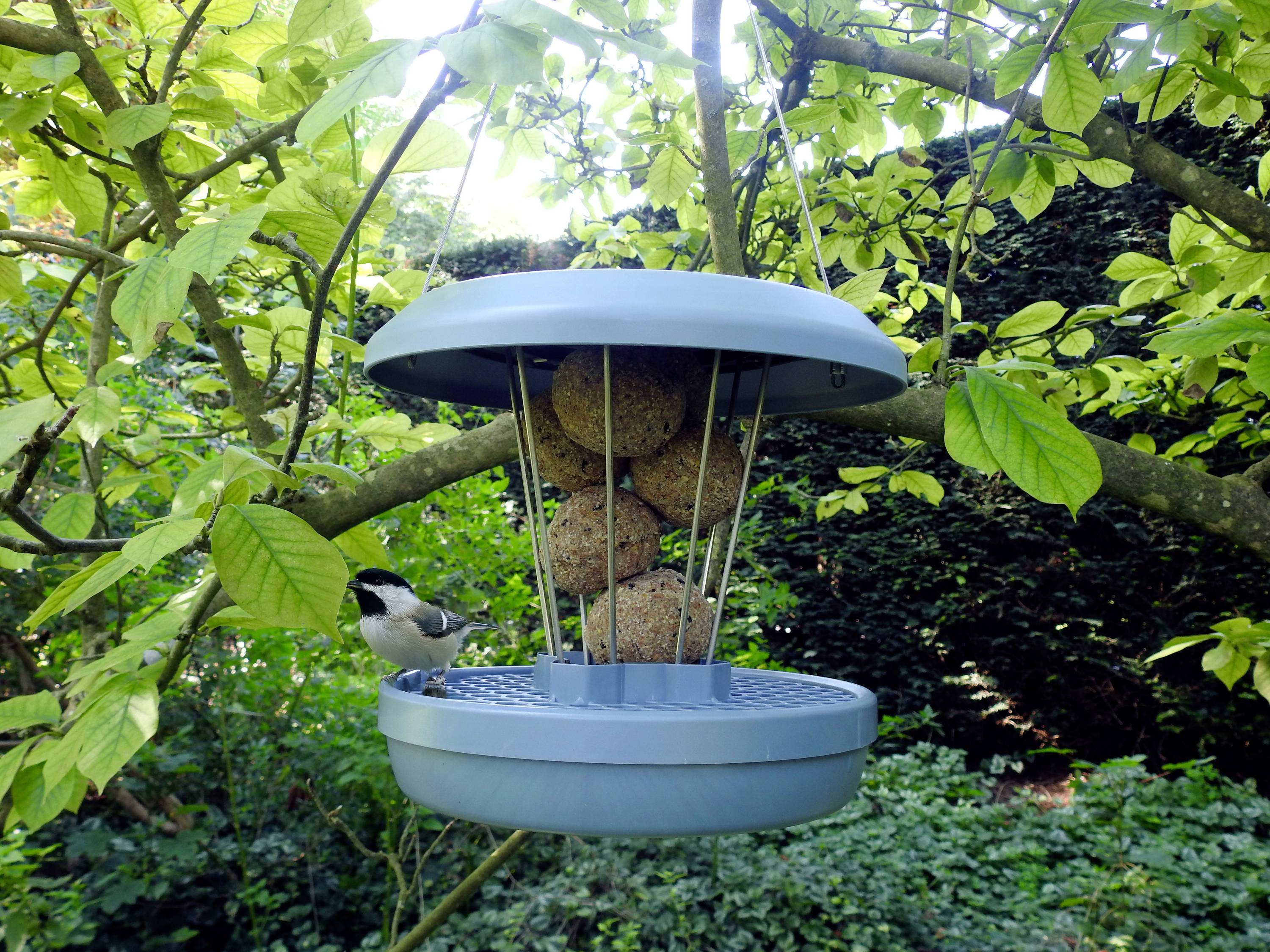 Swissinno Silos na paszę Lucerne hellblau für Maisenknödel 700 g jasnoniebieski 1 szt. 1 841 001-5