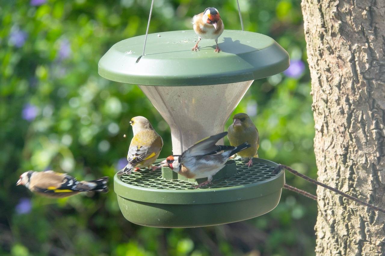 Swissinno Silos na paszę Davos Dunkelgrün 750 ml 1 szt. 1 800 001-9