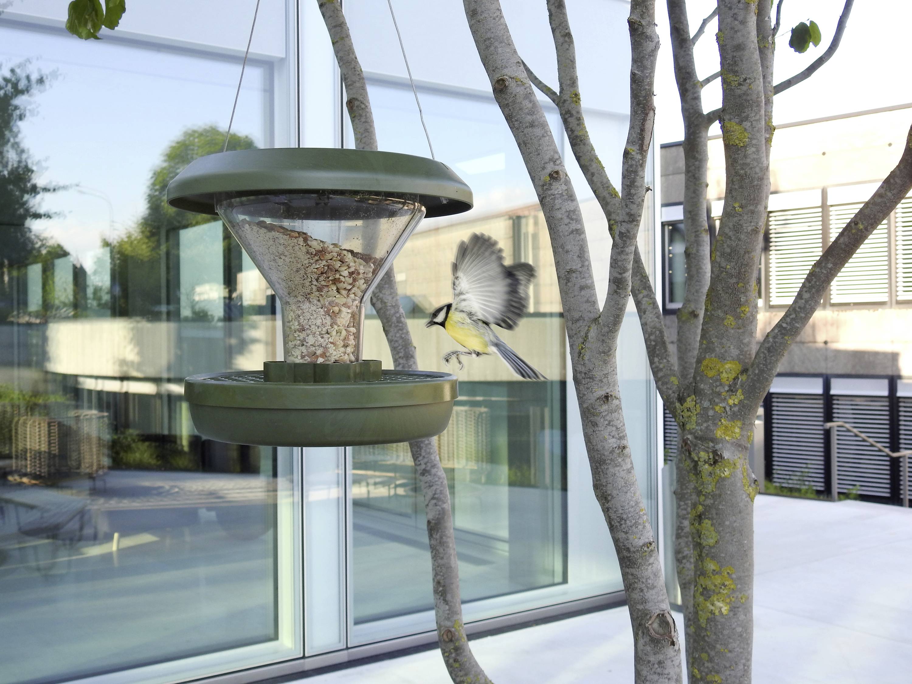 Swissinno Silos na paszę Davos Dunkelgrün 750 ml 1 szt. 1 800 001-10