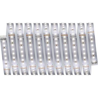 Taśma LED zestaw podstawowy Paulmann MaxLED 1000 Basisset 71247 3 m 230-0