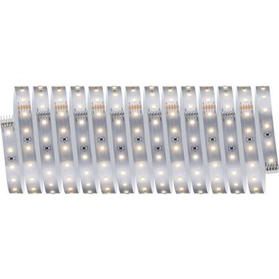 Taśma LED zestaw podstawowy Paulmann MaxLED 500 71230 5 m 230 V-0