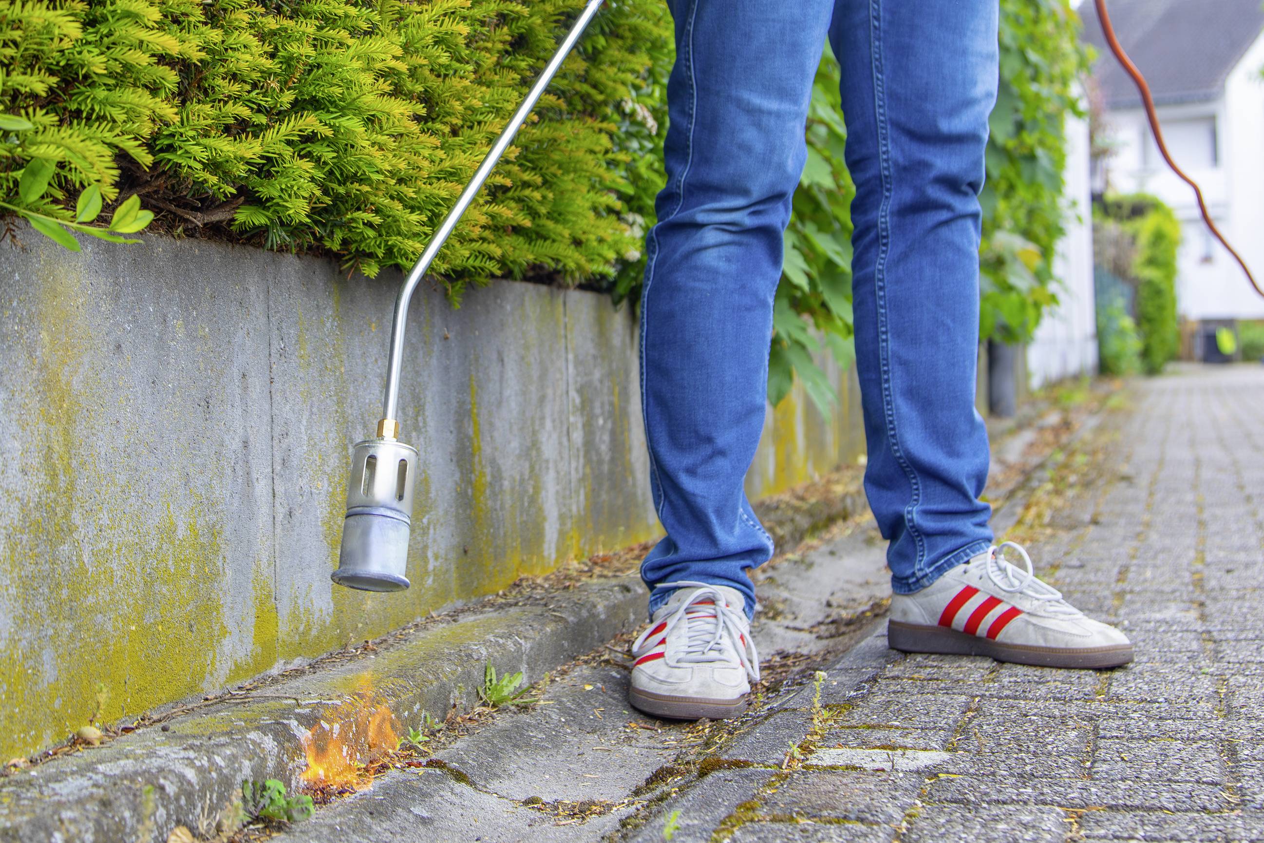 Palnik do podgrzewania Rothenberger 1 szt.-13