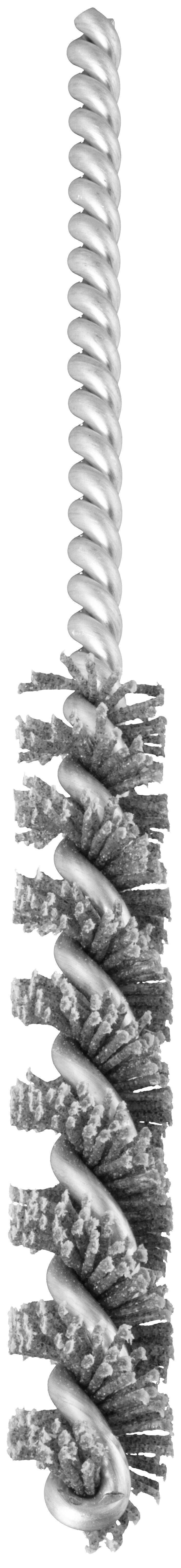 LUKAS-ERZETT Szczotka RBSN 1065 SIC 120 A359901065120 10 szt.-2