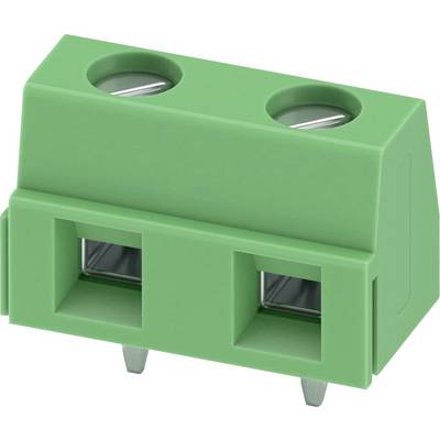 Zielony dwustykowy blok zaciskowy z złączami śrubowymi, stosowany do zabezpieczania połączeń przewodów w zastosowaniach elektronicznych i elektrycznych.
