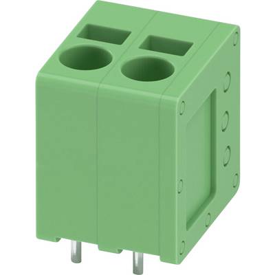 Zielony blok zaciskowy z dwoma otworami i metalowymi pinami do podłączenia przewodów elektrycznych.