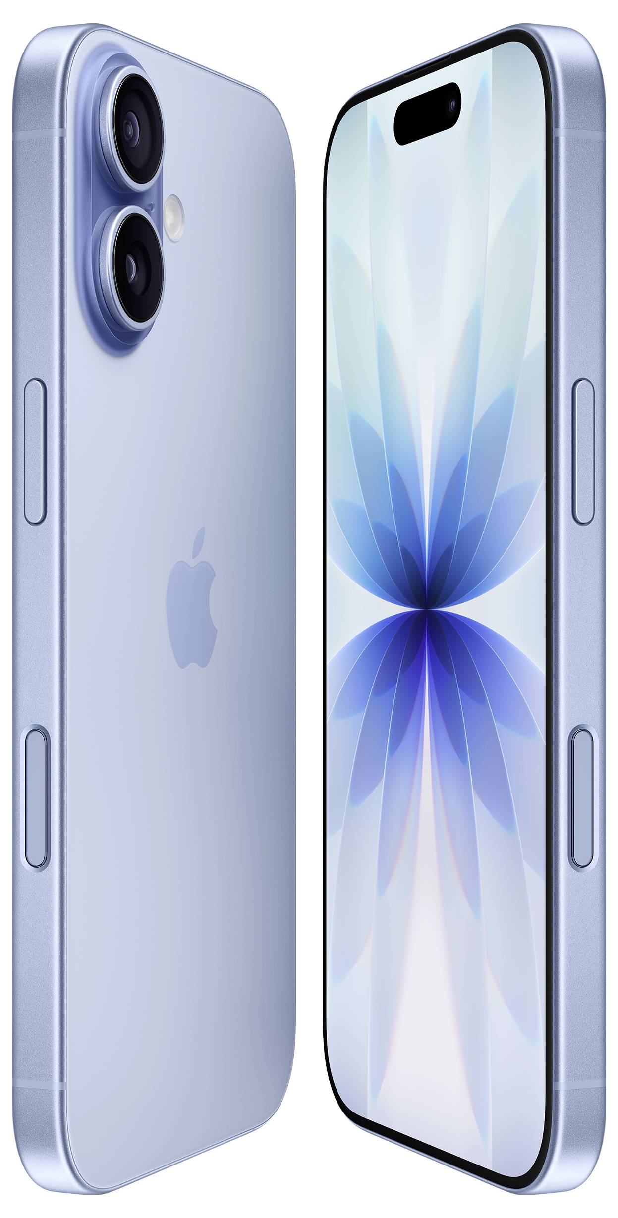 Apple iPhone 17 Blue Mist 256 GB EEK A (A - G) 16 см (6,3 дюйма)