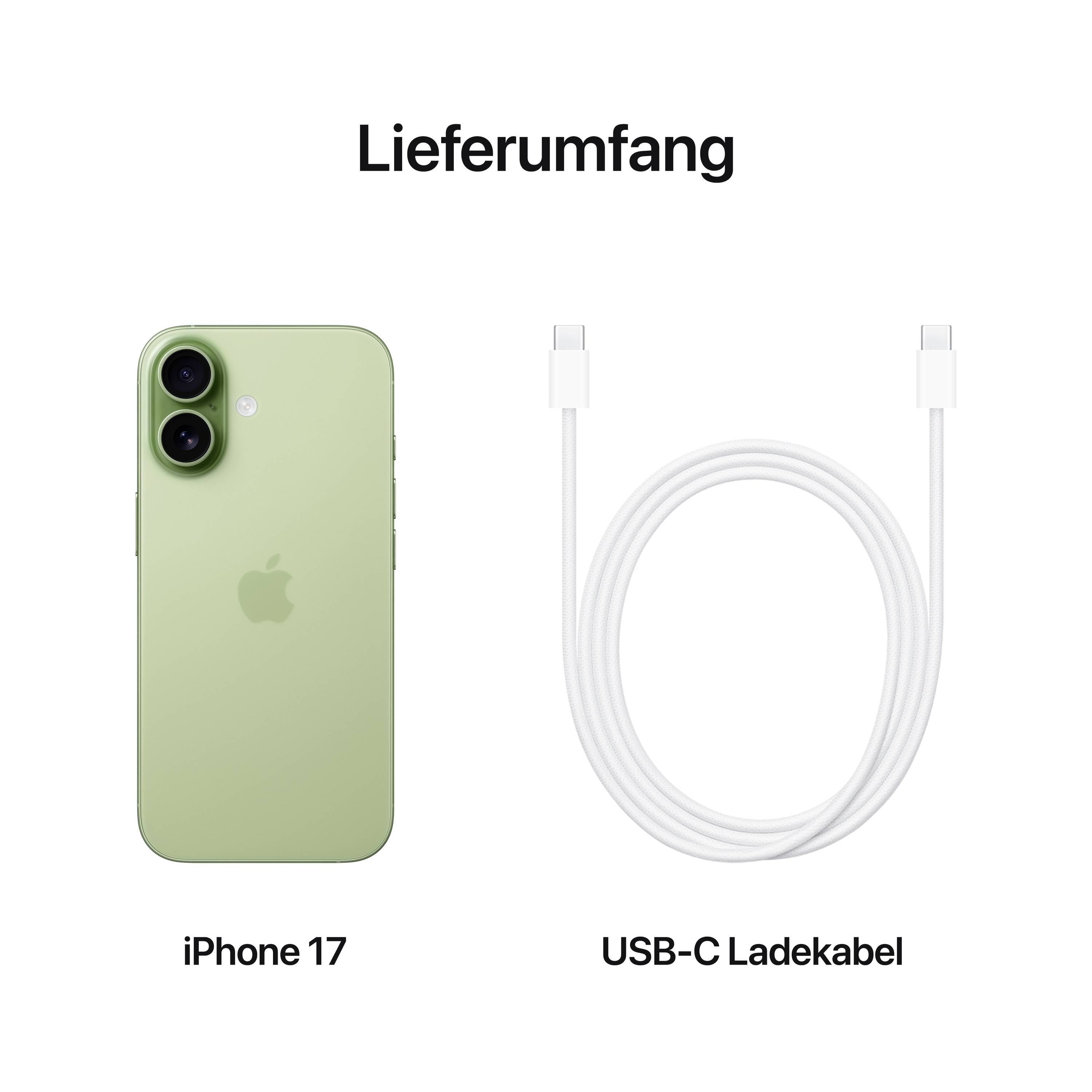 Zakres dostawy: iPhone 17 w kolorze zielonym oraz kabel ładujący USB-C.