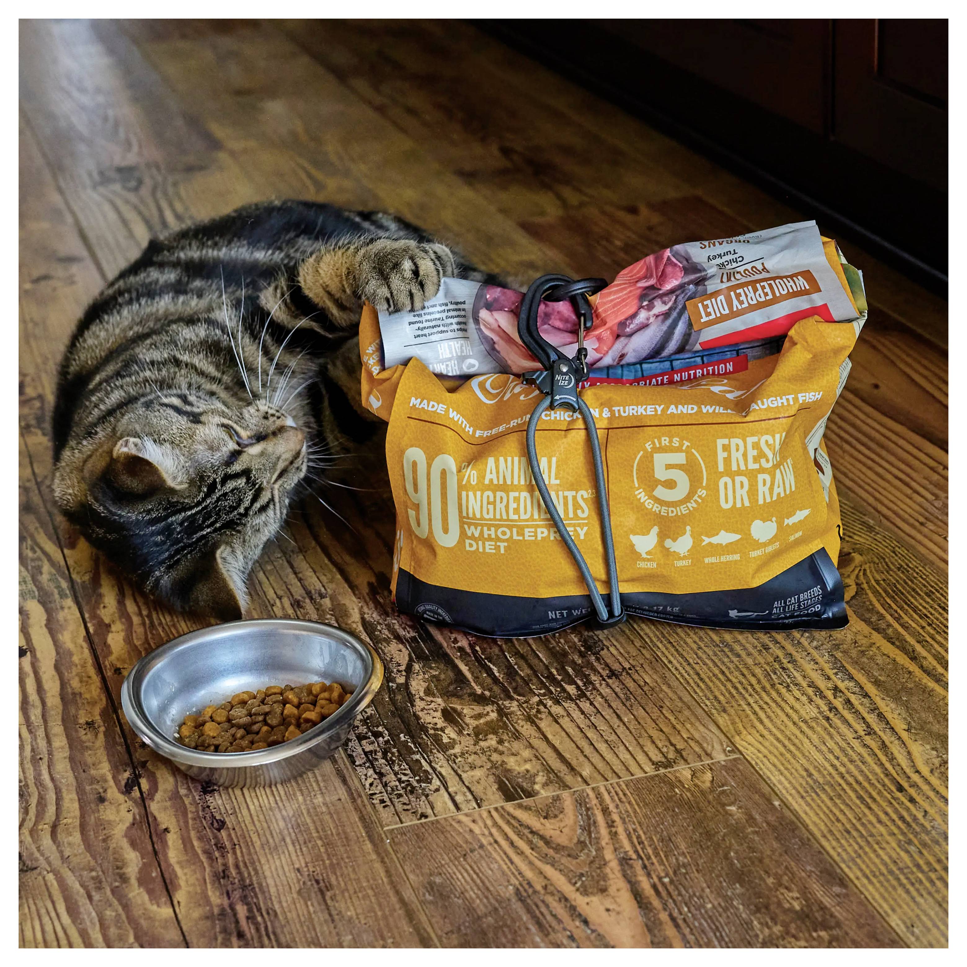 Kot leży na drewnianej podłodze, bawiąc się i rozdzierając torbę z karmą dla kotów. Obok torby stoi srebrna miska z niewielką ilością suchej karmy.