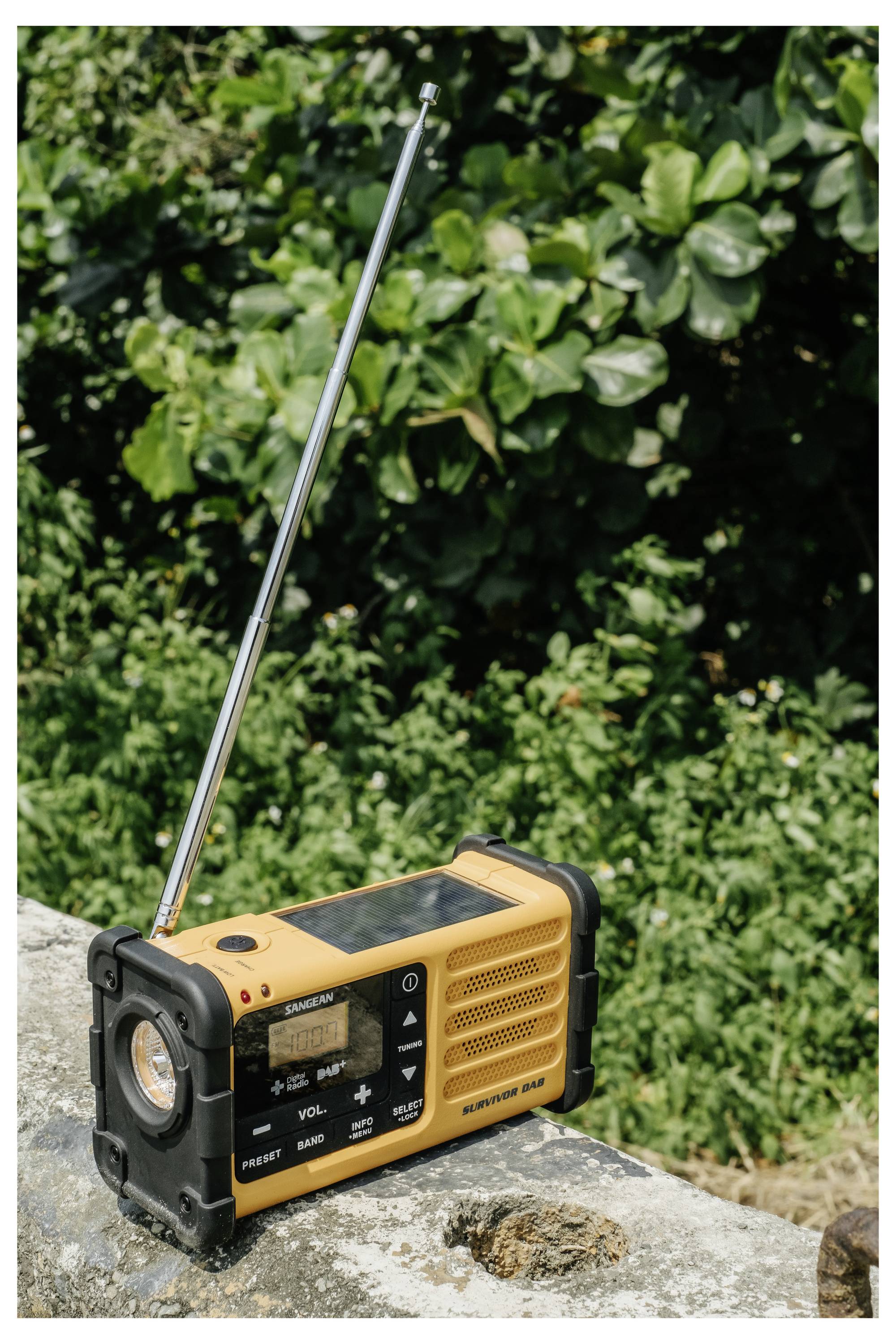 Przenośne żółte radio z wysuniętą anteną spoczywa na kamiennym występie, na tle bujnej zielonej roślinności.