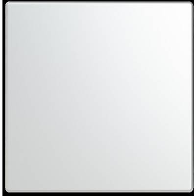 Busch-Jaeger Zaślepka Stal nierdzewna stali szlachetnej 2CKA006199A0049 1 szt.-0
