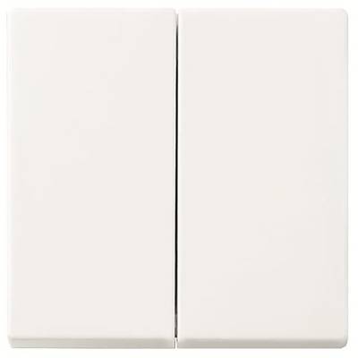 Busch-Jaeger Zaślepka Przełącznik Busch-balance SI 2CKA006730A0152 1 szt.-0