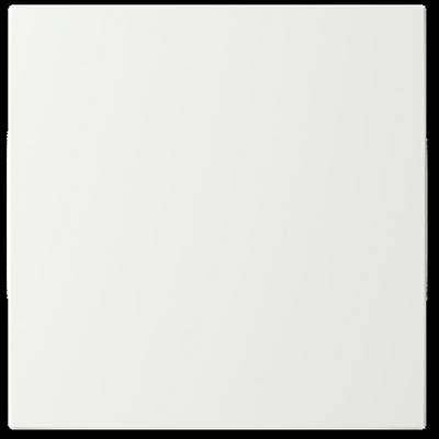 Busch-Jaeger 2CKA006199A0163 1 szt.-0