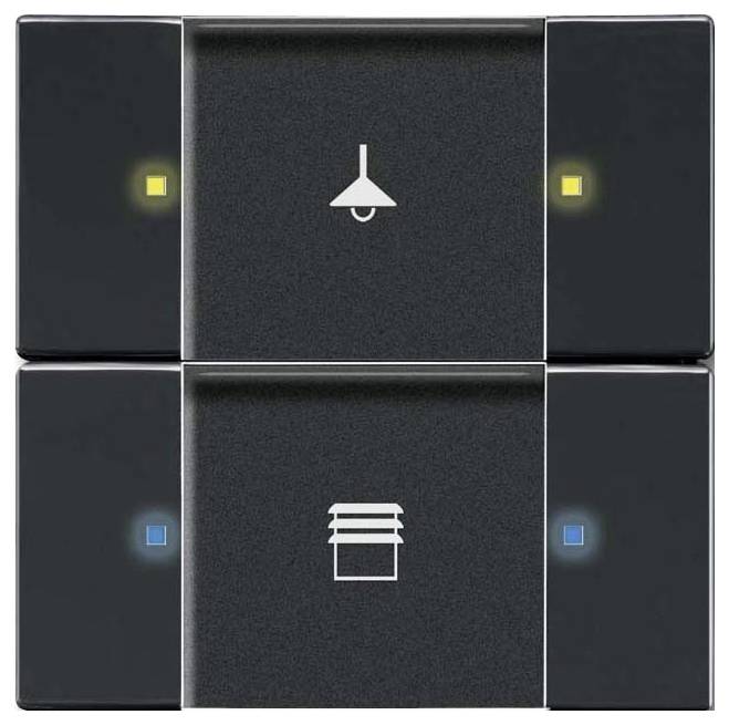 Podwójny przełącznik z ikonami; górny przełącznik pokazuje światło, dolny przełącznik pokazuje rolety. Wskaźniki LED sugerują status włączenia/wyłączenia.