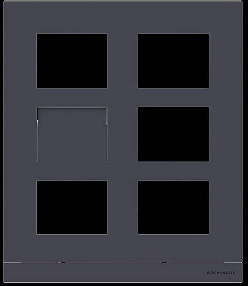 Busch-Jaeger 2TMA220160B1013 Płyta czołowa 2 przewodowa Panel przedni-0