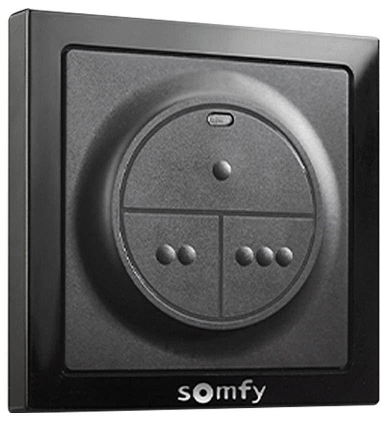 Настінний вимикач Somfy 1871131 1 шт.