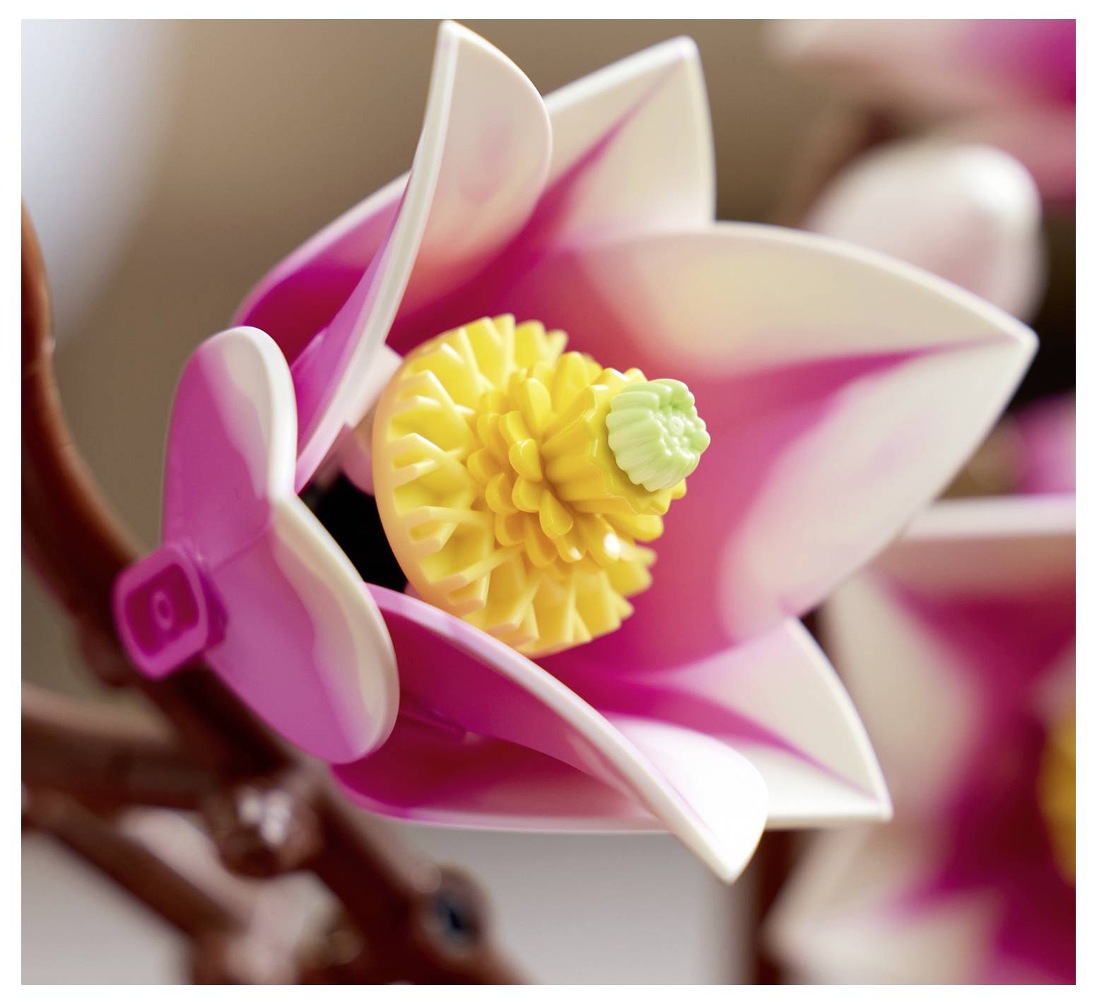 LEGO® ІКОНИ™ 6588551