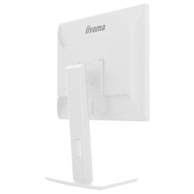 Iiyama ProLite Monitor EEK D (A - G) 48.3 cm (19 cal) 1280 x 1024 px 5:4 3 ms DisplayPort, HDMI LCD (TN)-12