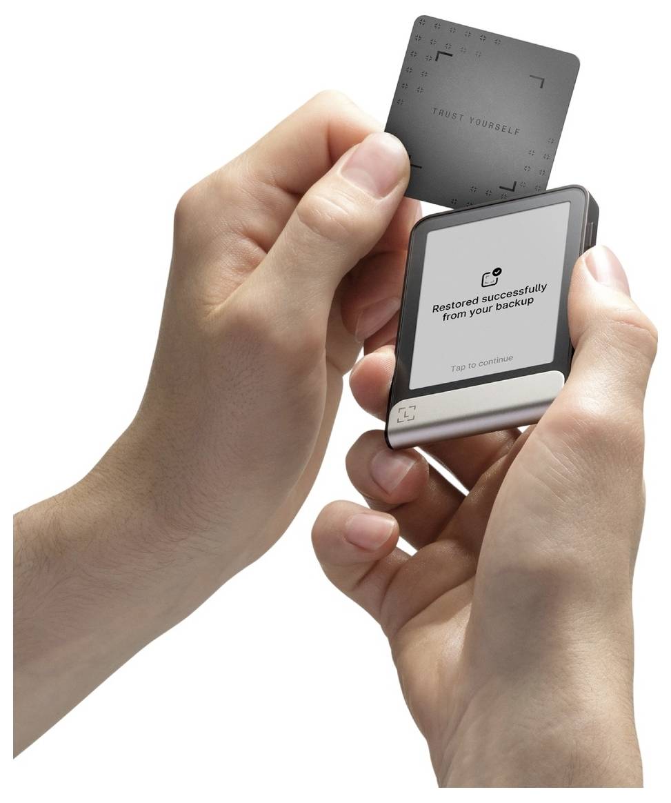 Ledger Flex Graphite + Recovery Key Hardware Wallet Gray 1 pc FLEX-RKEY-ESDEPTIT