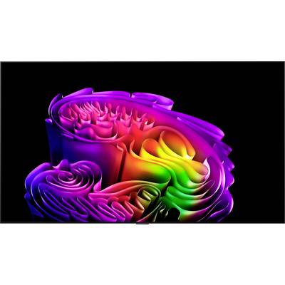 Abstrakcyjny rendering 3D wielokolorowej złożonej spirali lub kwiatopodobnej formy z gradientem tęczowym na czarnym tle.