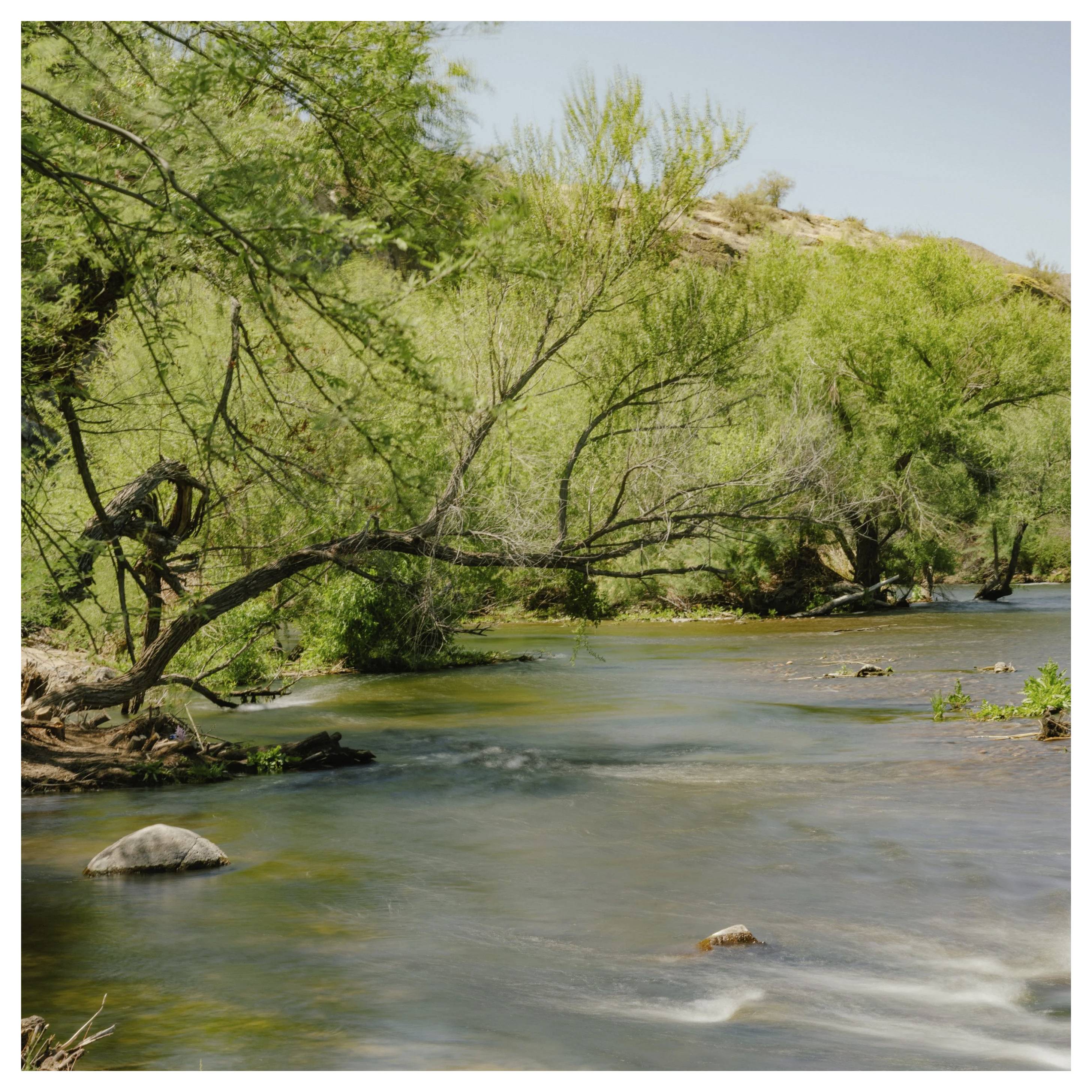 Filtr polaryzacyjny Moment 67 mm Moment 67mm Variable ND Filter (2-5 Stop-8