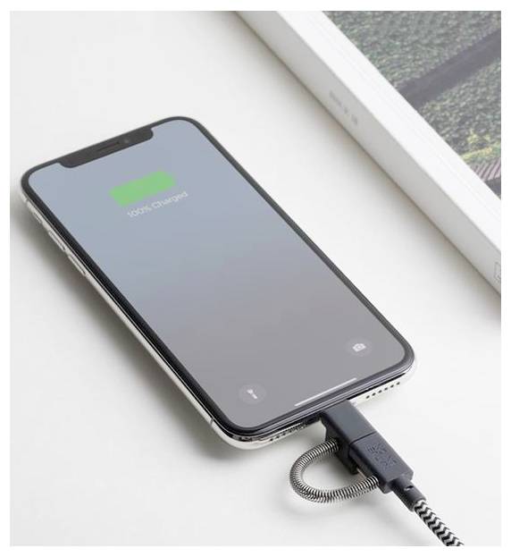 Native Union USB-C Kabel USB 2.0 2 m BELT-ULC-ZEB-NP-9