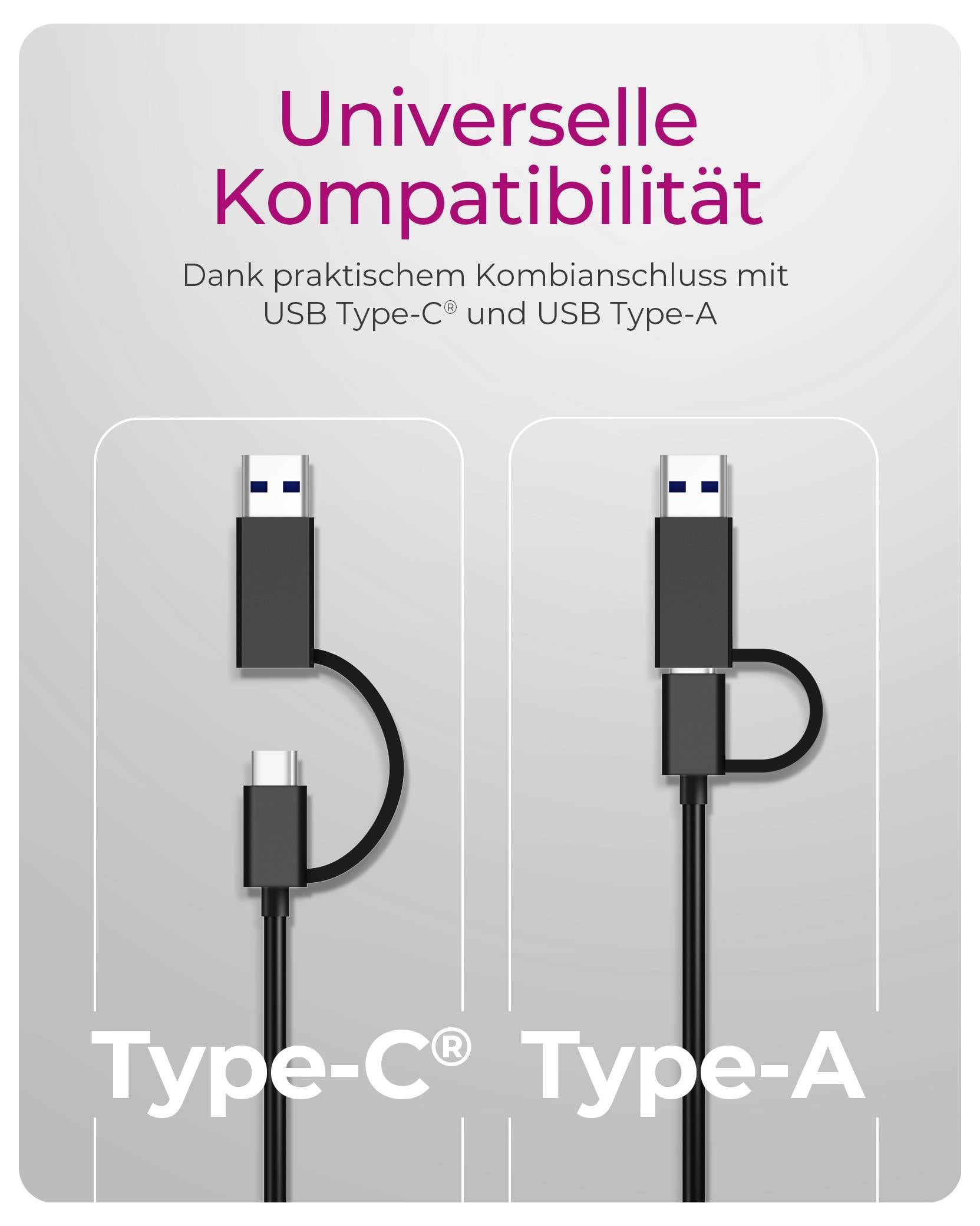USB-адаптер ICY BOX 2.0 61030