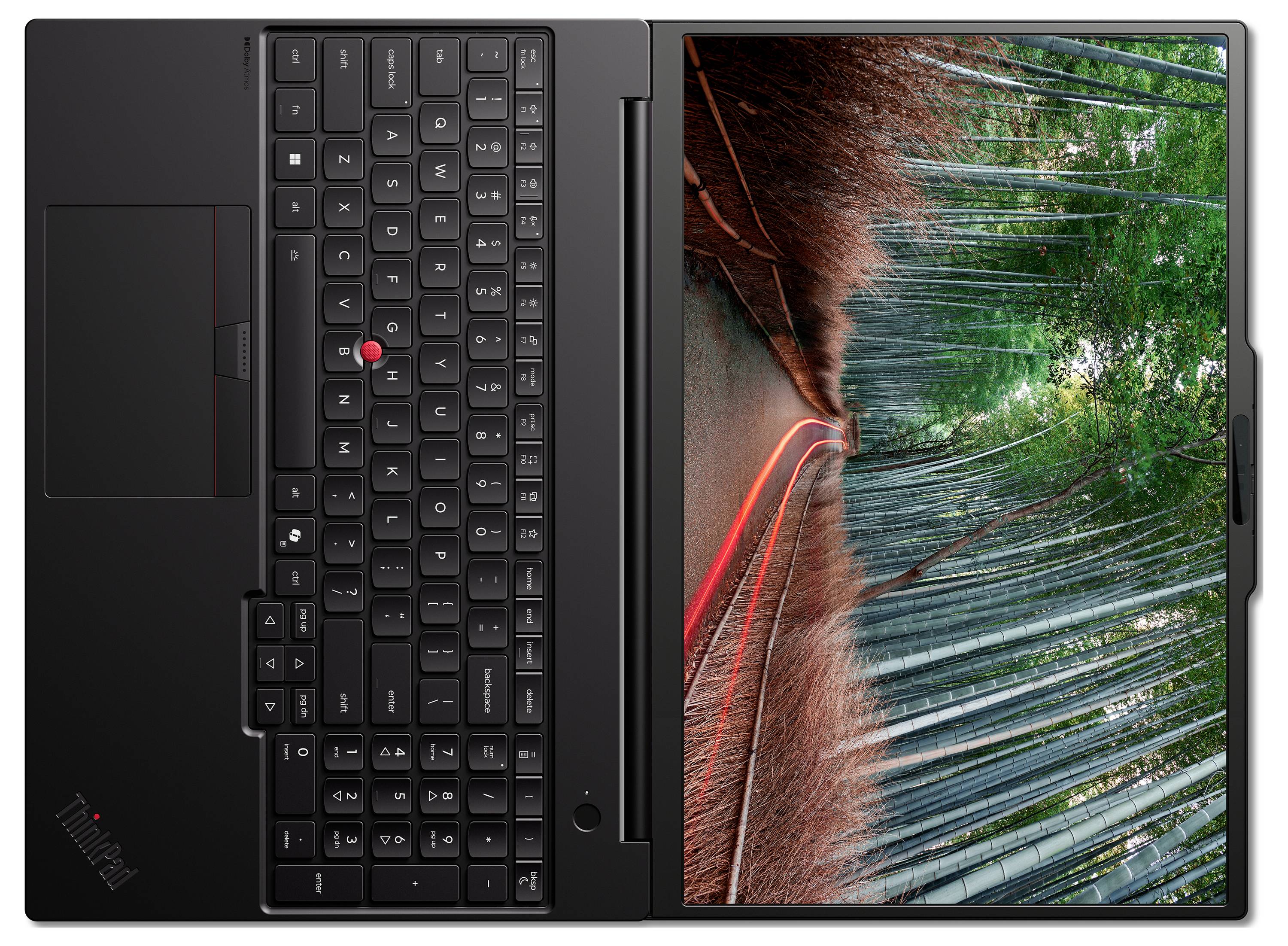 Laptop pokazany otwarty z klawiaturą po lewej stronie i tapetą leśnej ścieżki po prawej stronie ekranu.