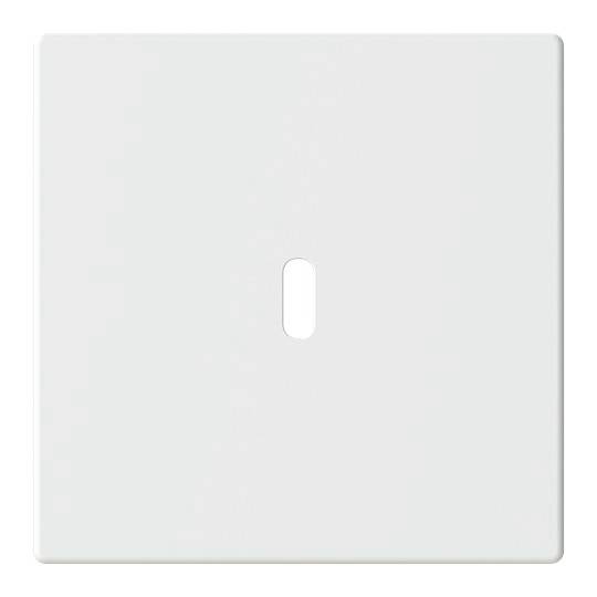 Busch-Jaeger zielony 2CKA006400A0451 1 szt.-0