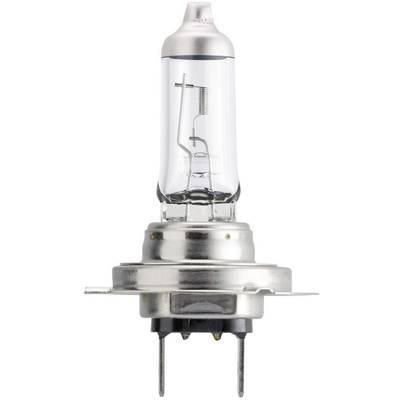 Philips Automotive 36200830 Żarówki halogenowe Longlife H7 55 W 12 V
