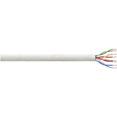 Przecięty kabel sieciowy ukazuje osiem kolorowych, skręconych żył w białej izolacji.