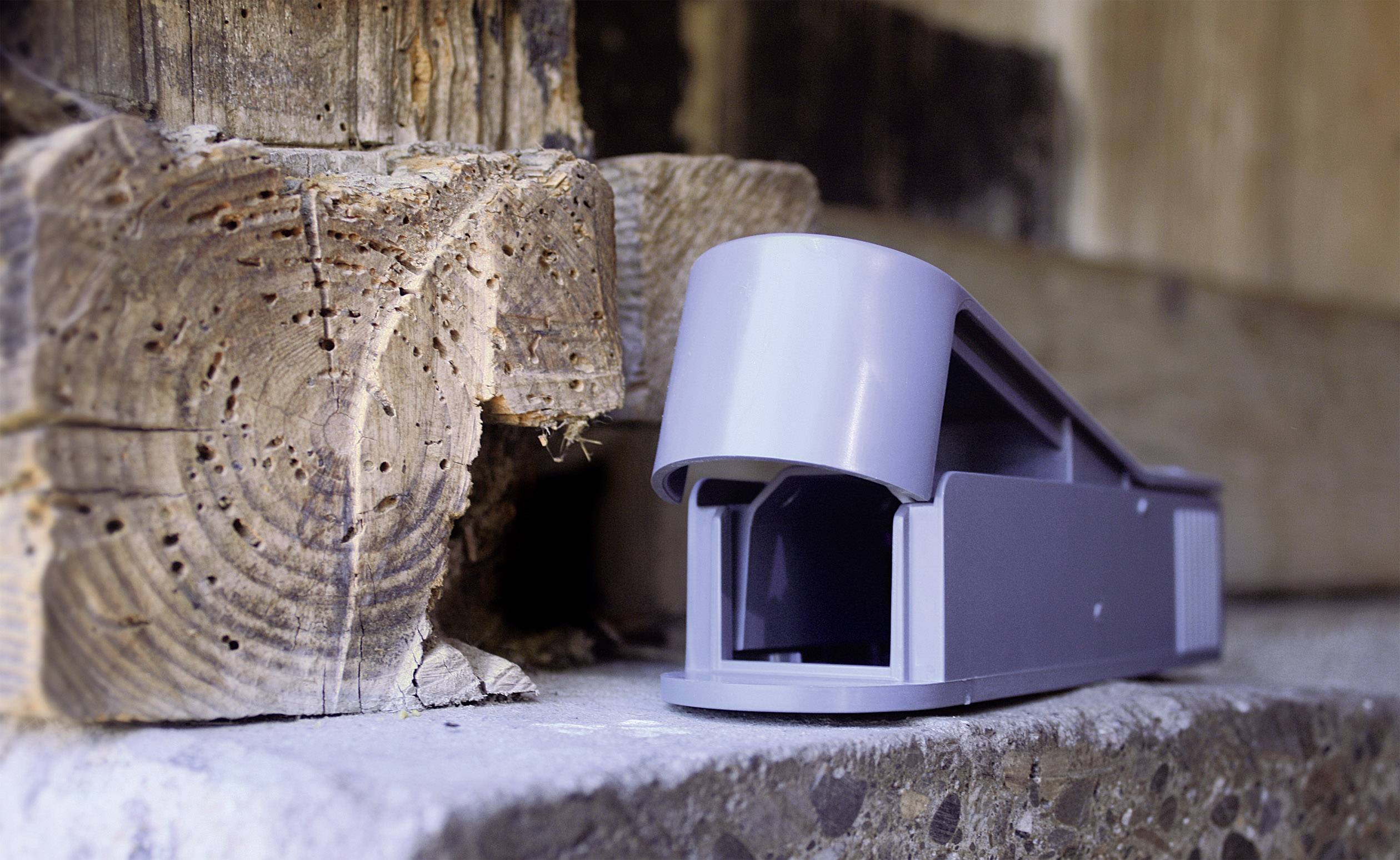 Szara pułapka na myszy stoi na betonowej powierzchni obok drewnianej belki.