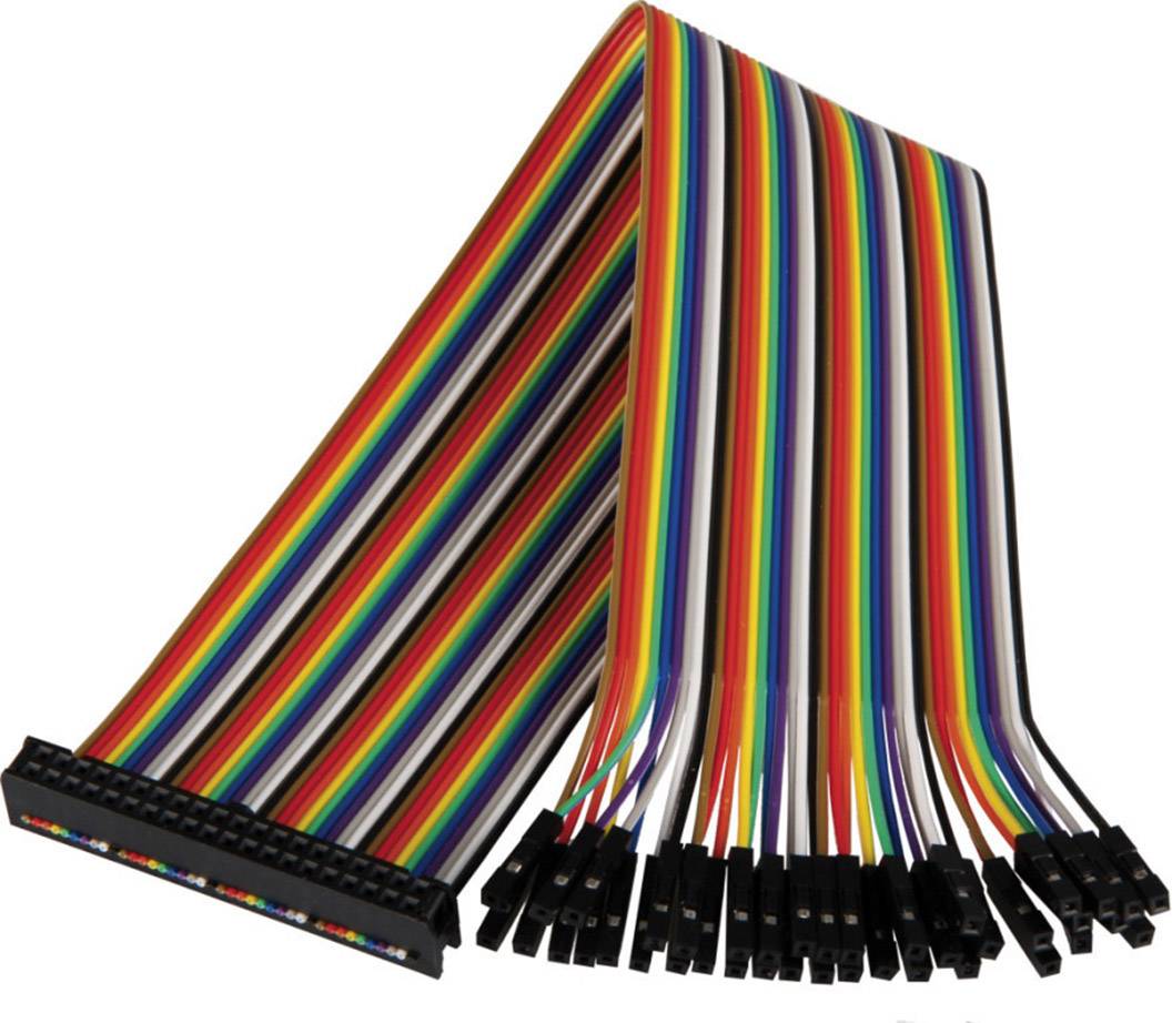 Płaski, kolorowy przewód wstążkowy z wieloma małymi wtyczkami na obu końcach do łączenia elementów elektronicznych.