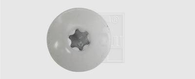 Biała, gwiazdkowata pokrywa śruby na szarym tle.