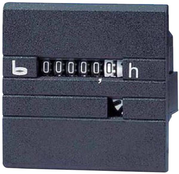 Лічильник часу роботи Bauser 630R/008-021-0-1-001, 10 - 80 В/DC, IP65