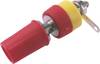 Cliff CL1551C Zacisk biegunowy 1 szt.